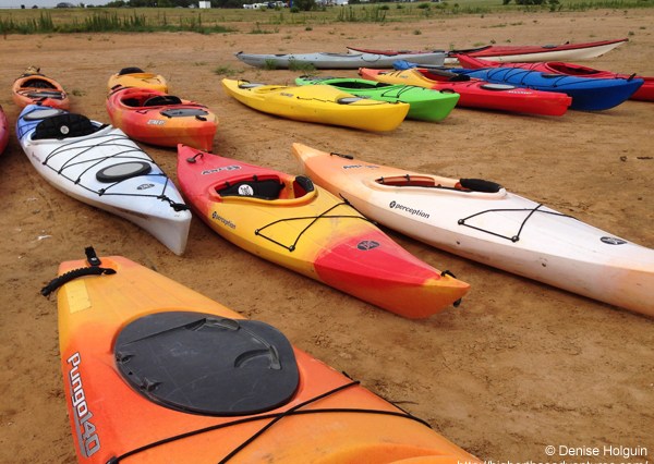 Big Bertha's Adventures