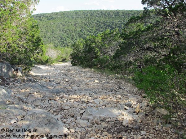 Big Bertha's Adventures