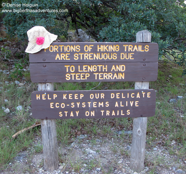 Big Bertha's Adventures