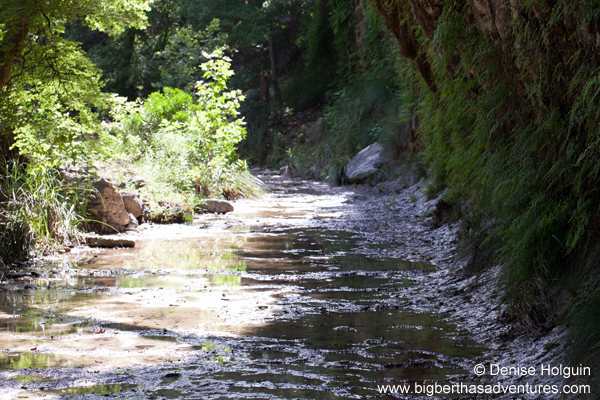 Big Bertha's Adventures