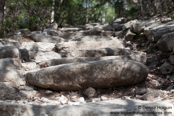 Big Bertha's Adventures