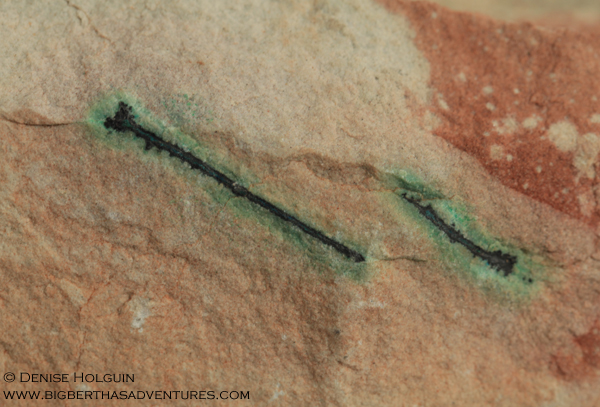 A rock's 1100+ mile journey