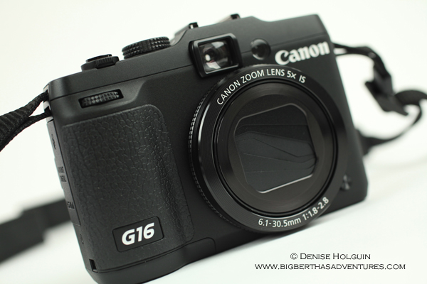 Big Bertha's Adventures