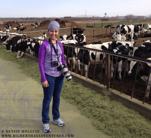 Big Bertha's Adventures