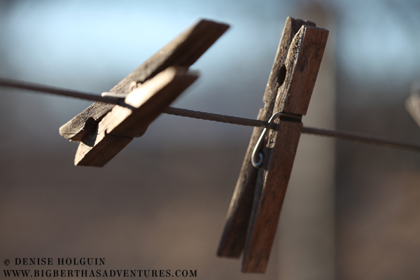 Big Bertha's Adventures