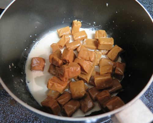 Big Bertha's Adventures