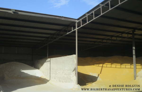 Big Bertha's Adventures