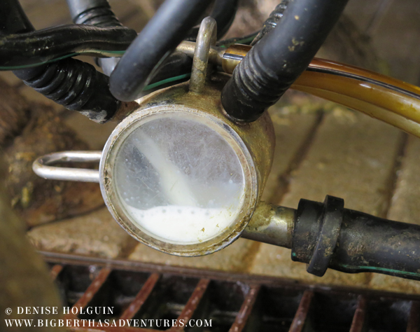 Big Bertha's Adventures