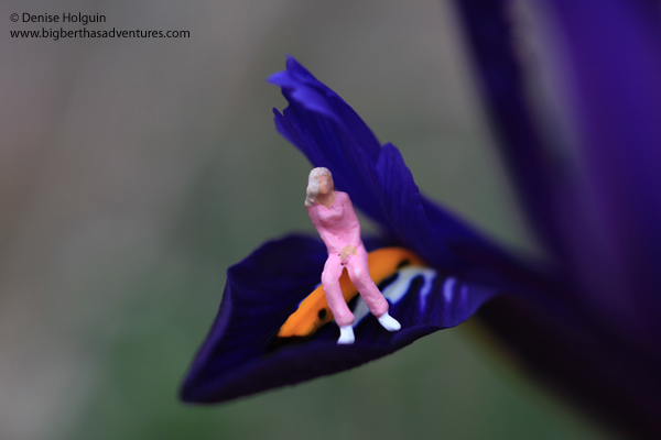 Big Bertha's Adventures