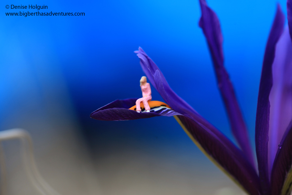 Big Bertha's Adventures