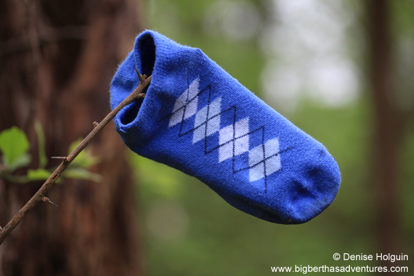 Big Bertha's Adventures