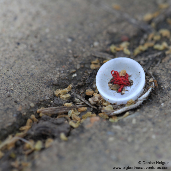 Big Bertha's Adventures