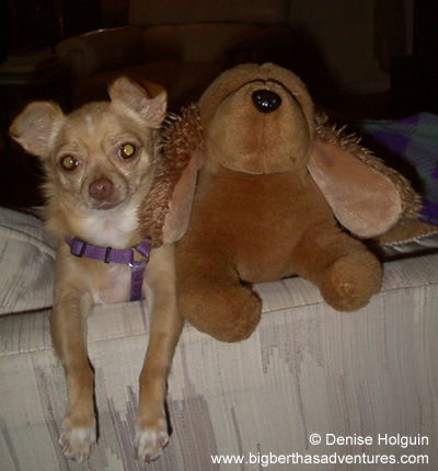 Big Bertha's Adventures