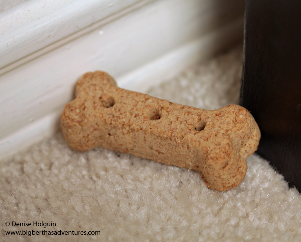 Big Bertha's Adventures