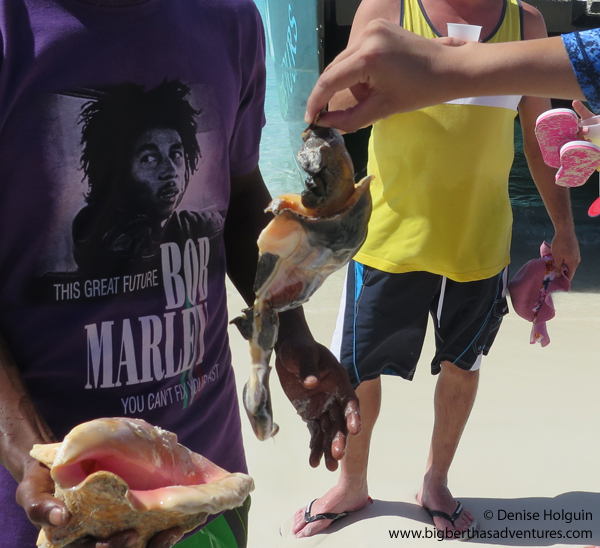 Big Bertha's Adventures