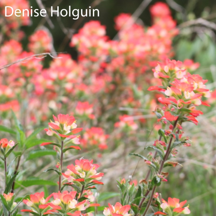 Big Bertha's Adventures