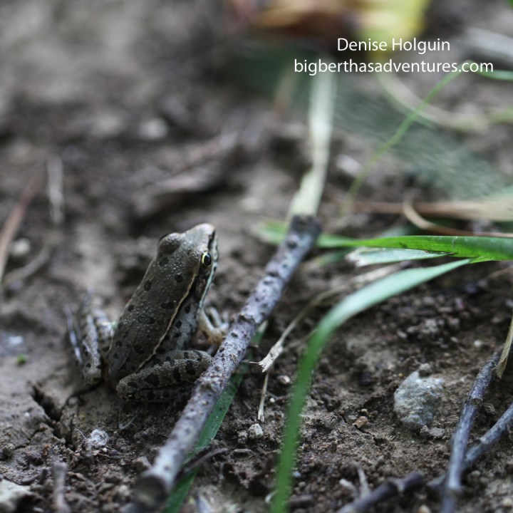 May 29, 2015. Part 3 of X