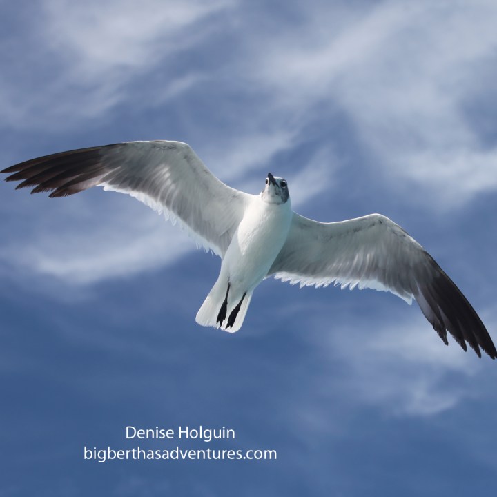 May 29, 2015. Part 3 of X.