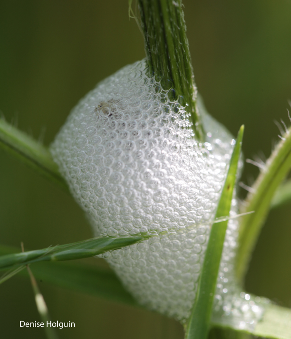 Go outside and explore