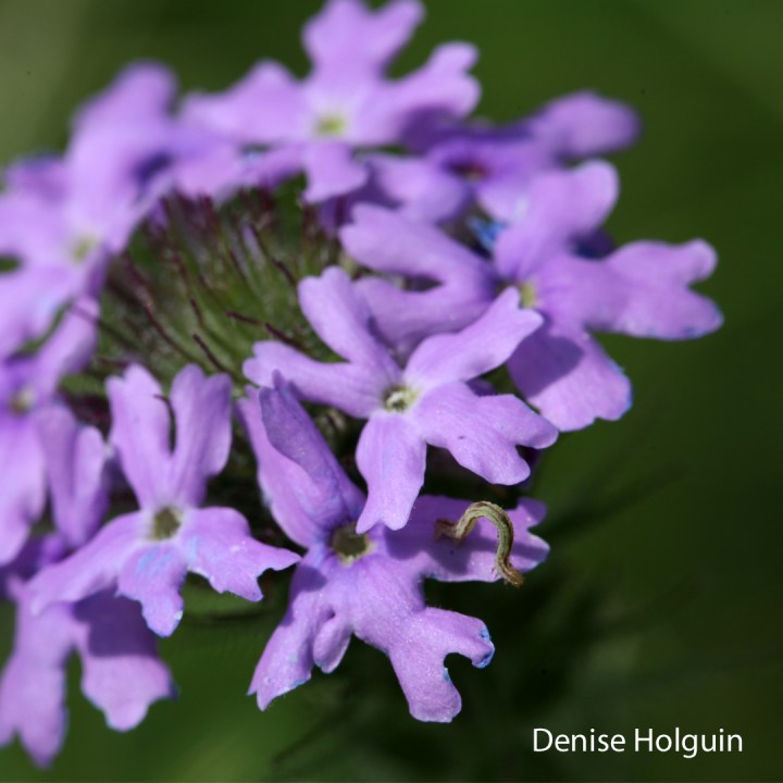 Go outside and explore