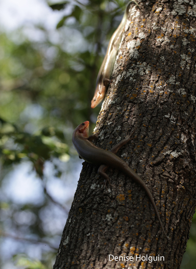 Go outside and explore