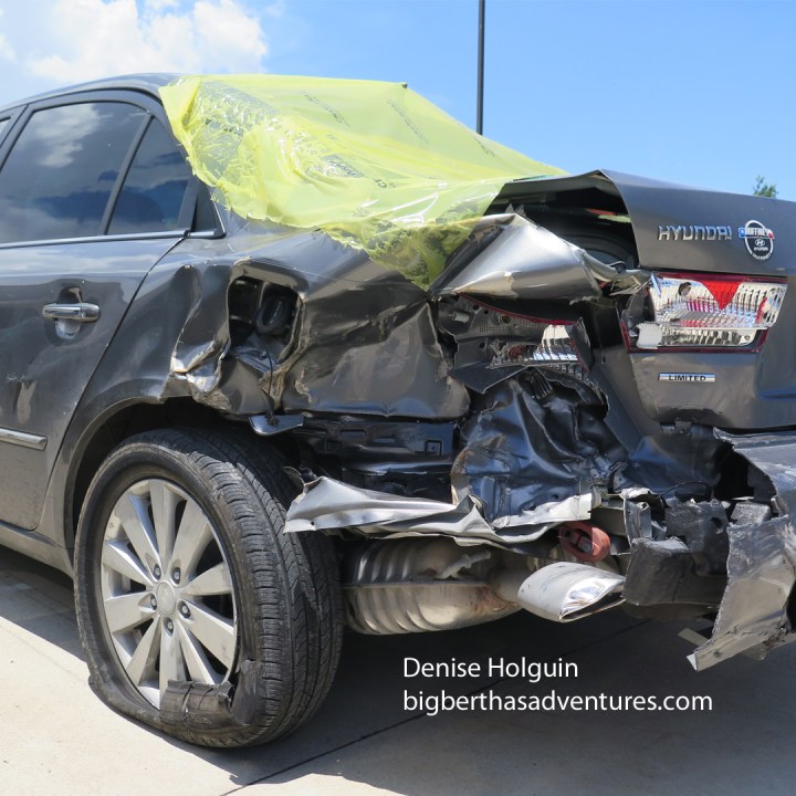 Big Bertha's Adventures