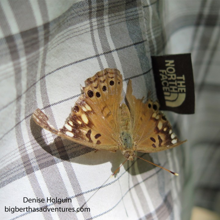 May 29, 2015. Part 3 of X