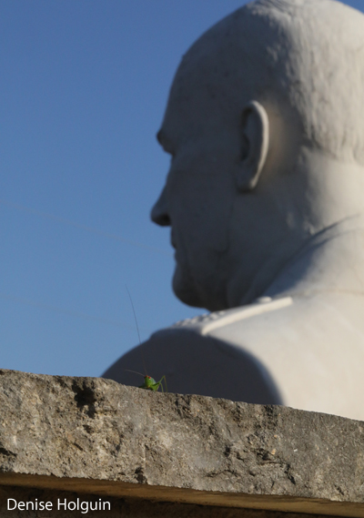 Big Bertha's Adventures