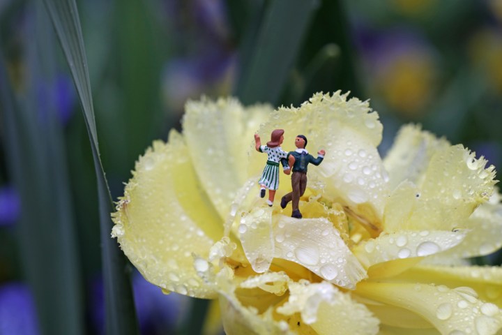 168A3636-MainStreetCafeBB