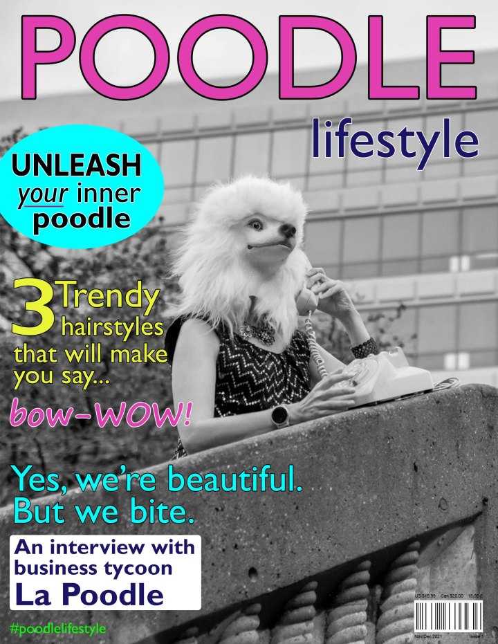 Poodle Lifestyle magazine