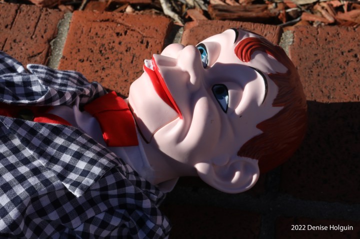 Finnegan visits Pilot Point, Texas!