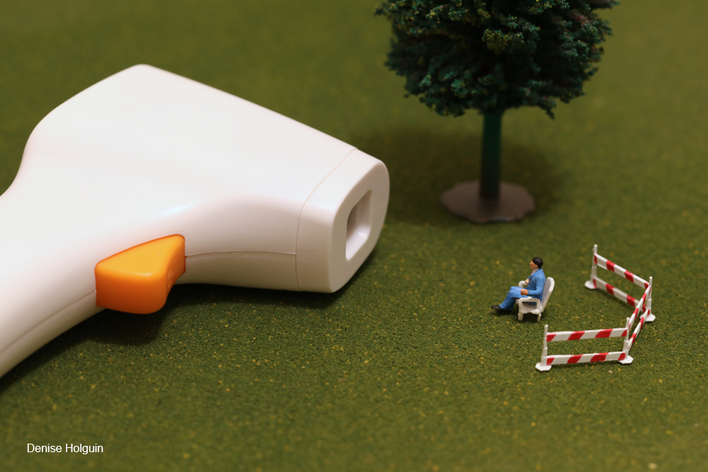 Temperature Readings in the Park