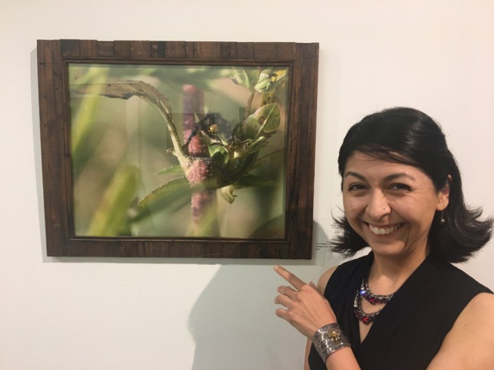 Opening Reception -  Call of the Wild & Day of the Dead - Visual Art League of Lewisville