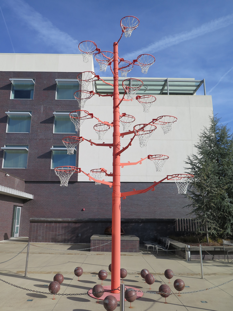 Basketball tree at 21c Museum Hotel