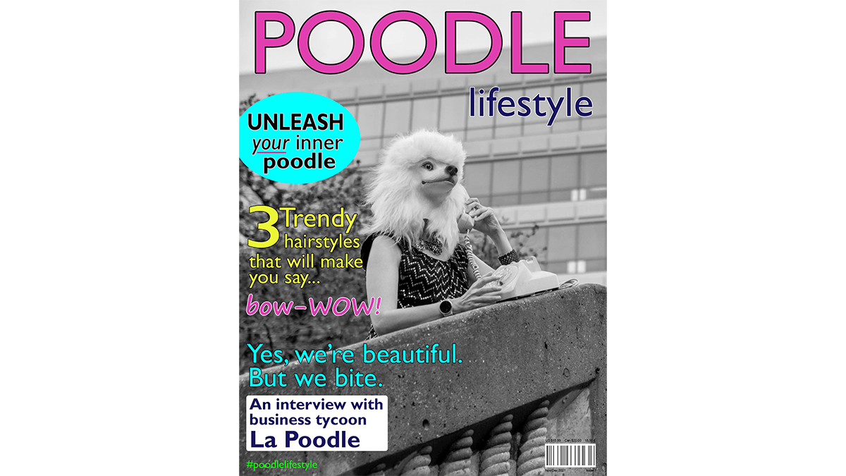 Poodle Lifestyle magazine