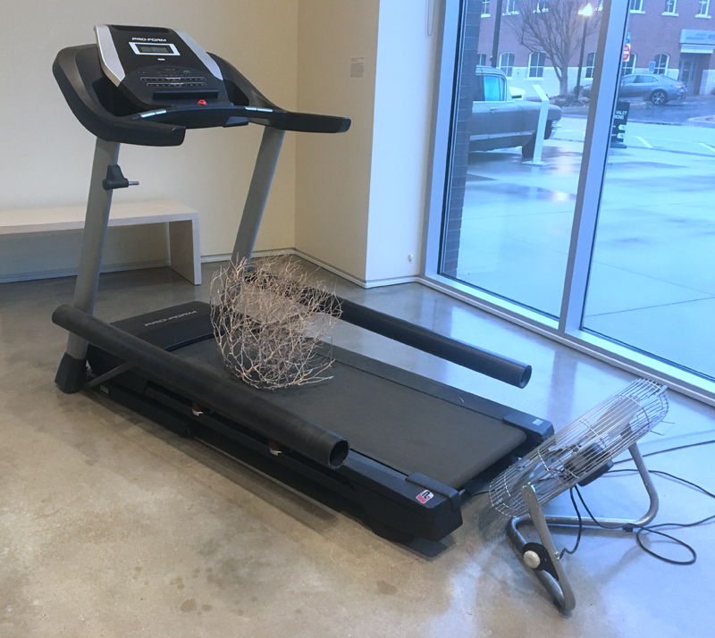 Treadmill with tumbleweed - an art piece at 21c Museum