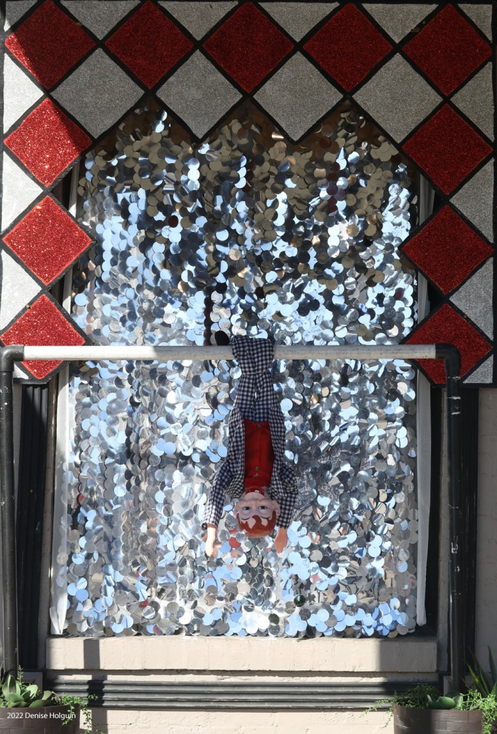 Finnegan visits Pilot Point, Texas!