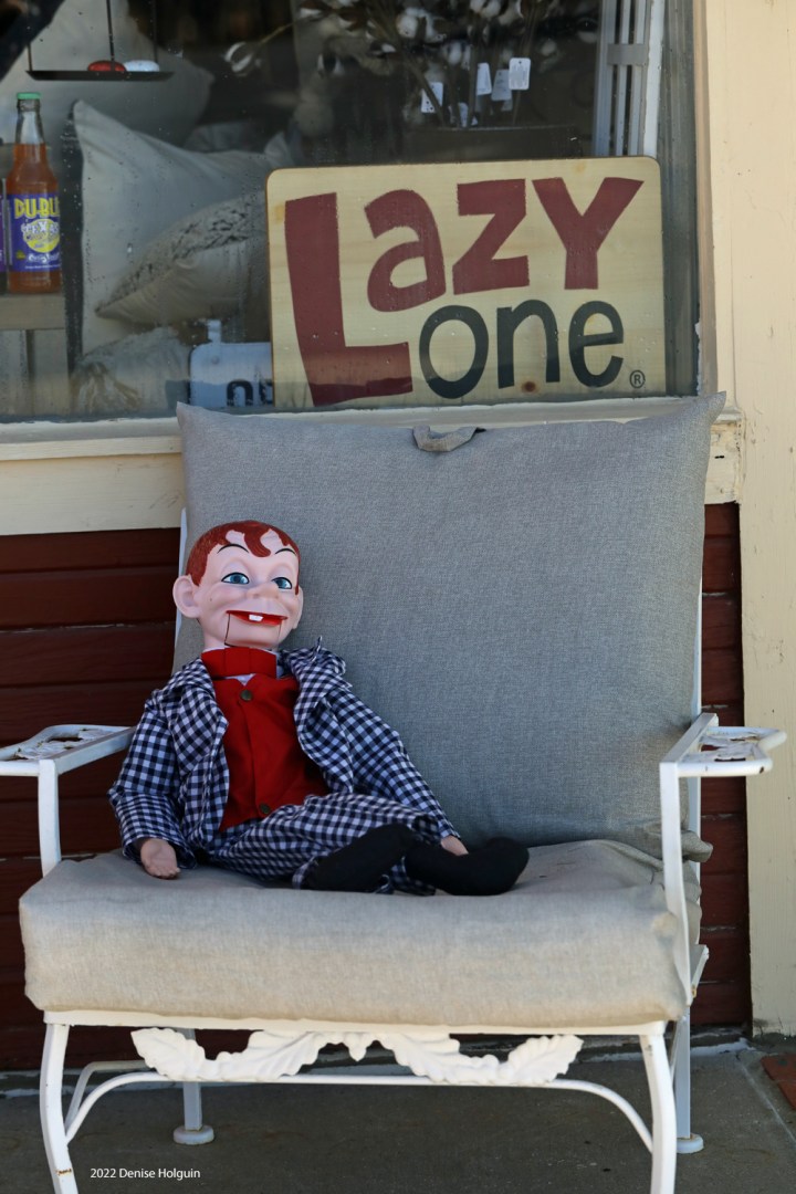 Finnegan visits Pilot Point, Texas!