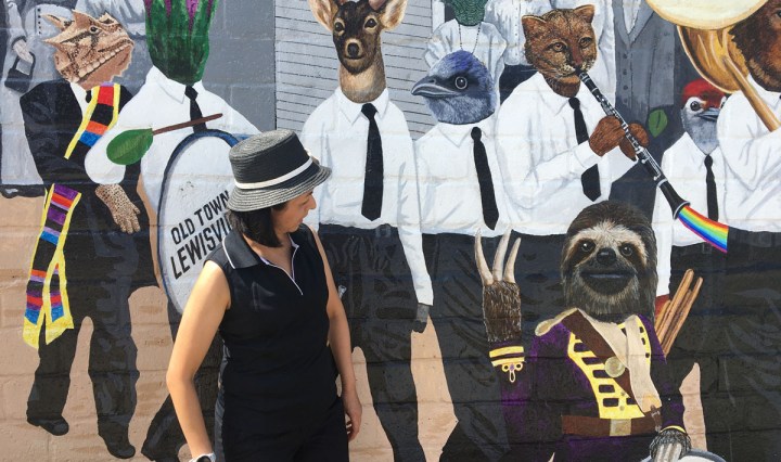 Visual Art League of Lewisville