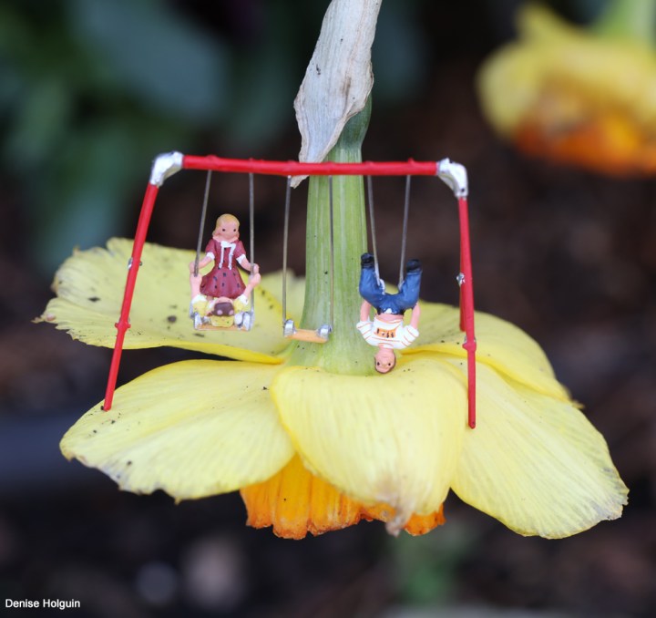 HO Scale miniatures on daffodil