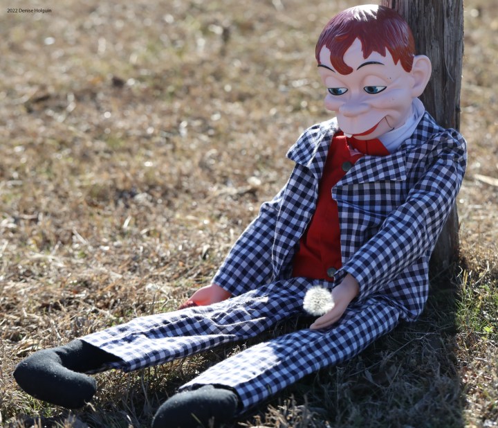 Finnegan visits Pilot Point, Texas!