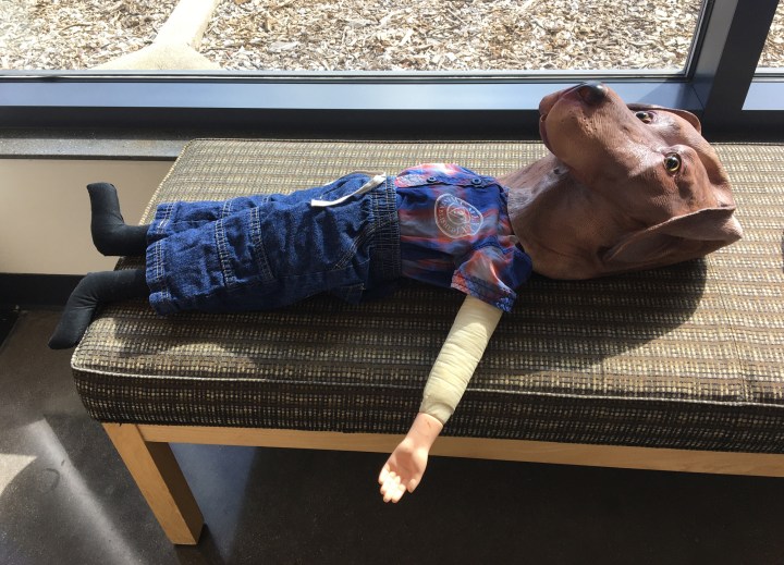 Two new exhibits at the Lewisville Grand Theater!