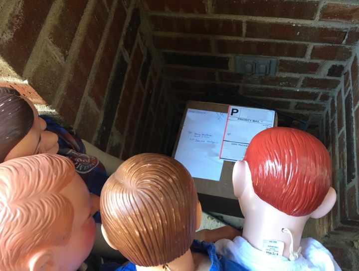 The Day Percival, Winthrop, Mortimer and Finnegan received a package in the mail!