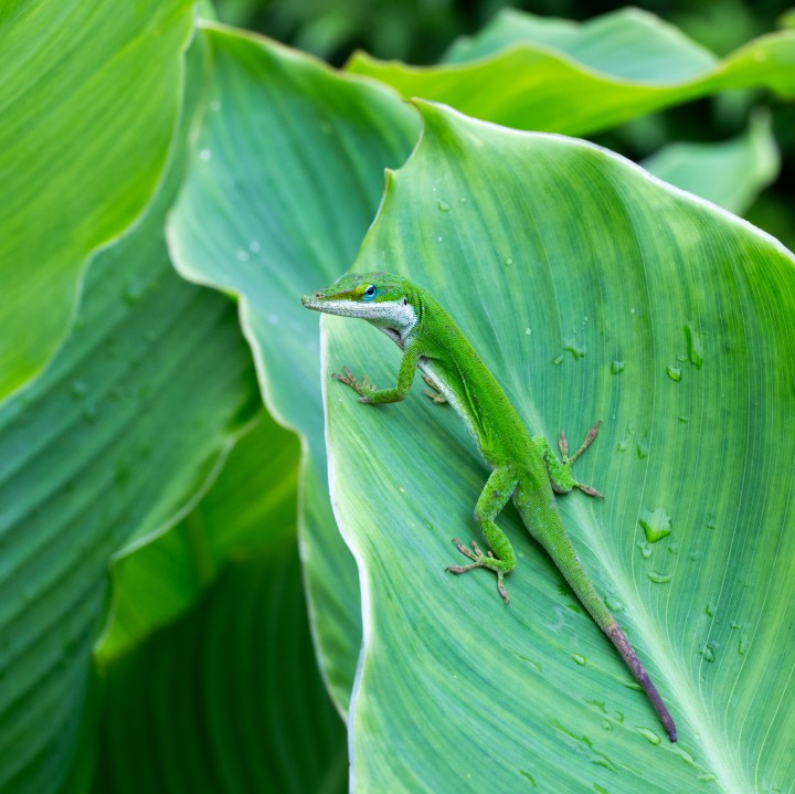 Two new exhibits at the Lewisville Grand Theater!