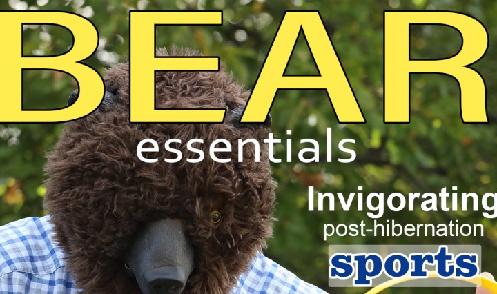 Bear Essentials Magazine