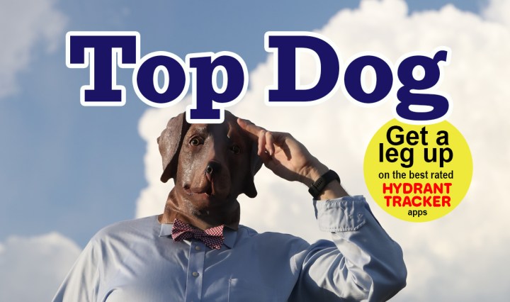 New Publication! Top Dog Magazine!