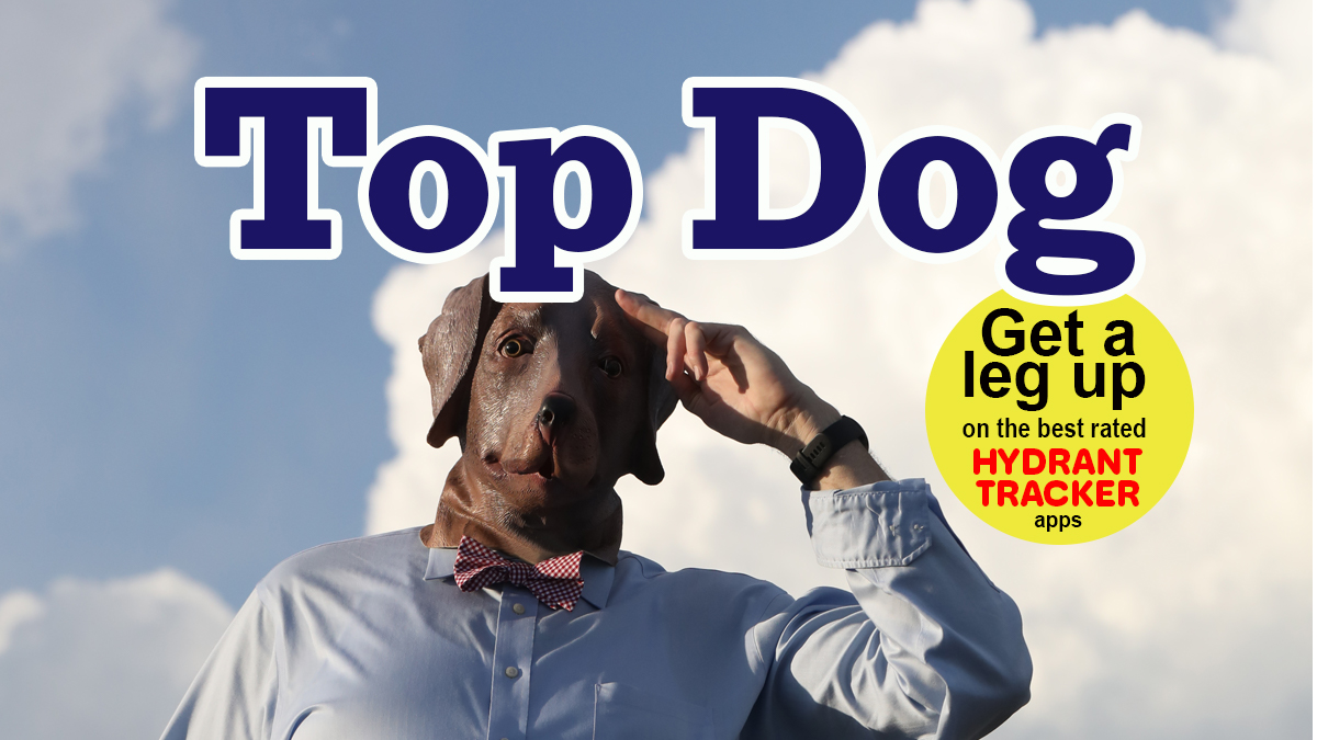 New Publication! Top Dog Magazine!