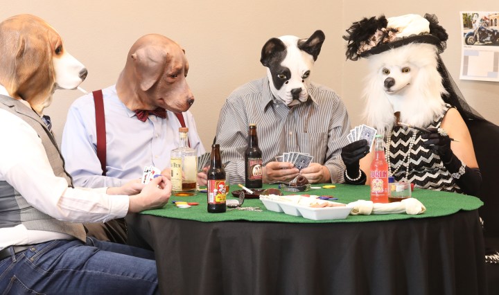 La Poodle Plays Poker