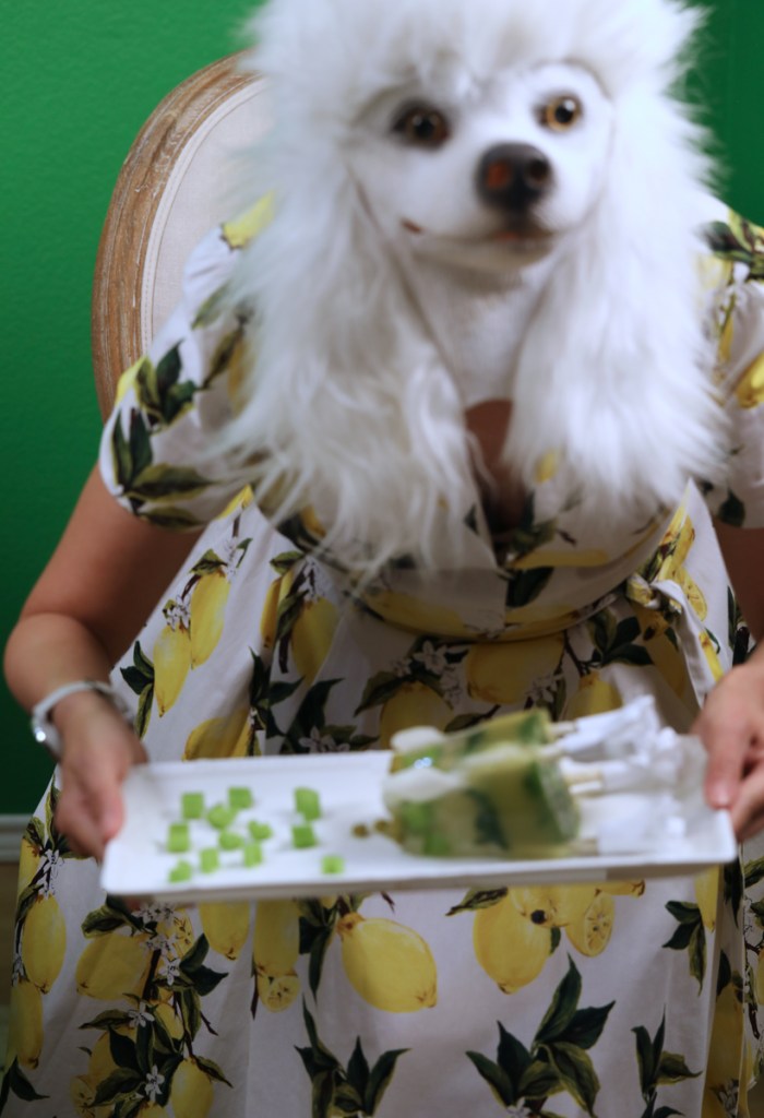 In the Kitchen with La Poodle