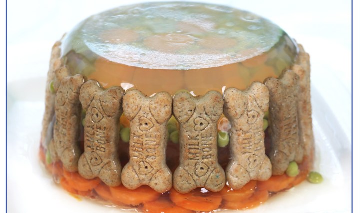 In the Kitchen with La Poodle